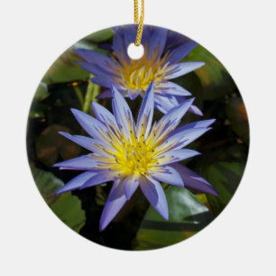 Water Lilies Ornament