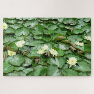 Water Lilies Puzzle