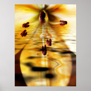 Water Lillium Print Poster