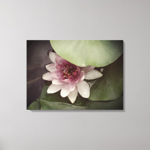 Water Lilly, Lotus Fotografy Wall Art Leinwanddruck