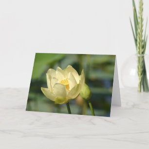 Water Lilly Lotus Karte