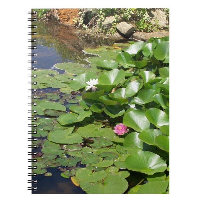 Water Lilly Notebook Notizblock (Vorderseite)