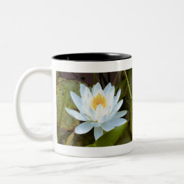 Water Lilly Zweifarbige Tasse