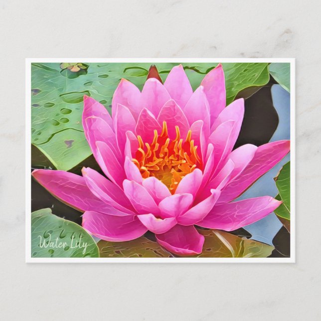 Water Lily ポストカード Postkarte (Vorderseite)