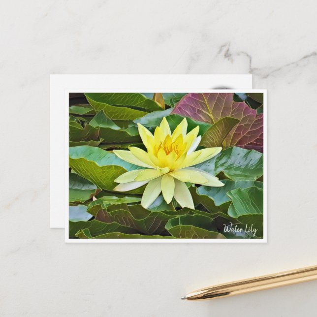 Water Lily ポストカード Postkarte (Vorderseite/Rückseite Beispiel)