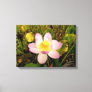 Water Lily Canvas Print Leinwanddruck
