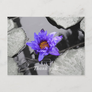 Water Lily danke Ihnen Postcard Postkarte
