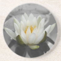 Water Lily Floral Untersetzer