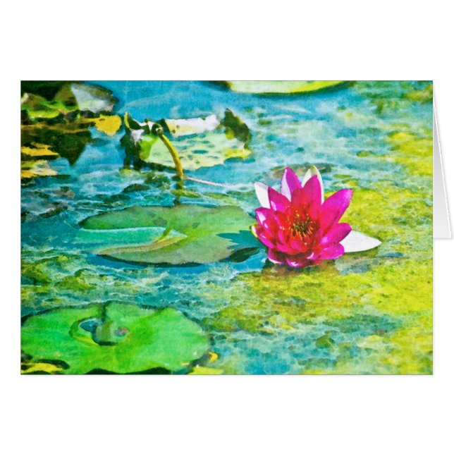 Water Lily Lilypad (Vorderseite (Horizontal))