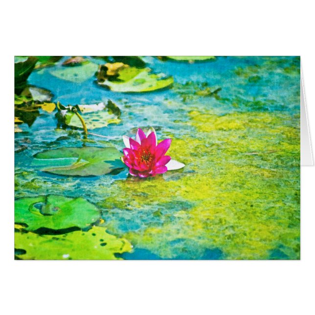 Water Lily Lilypad (Vorderseite (Horizontal))