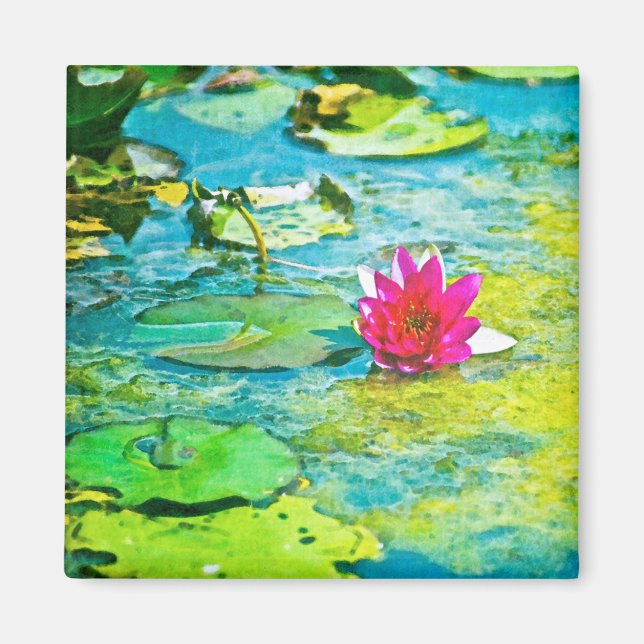 Water Lily Lilypad Magnet (Vorne)
