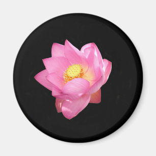 Water Lily Magnet