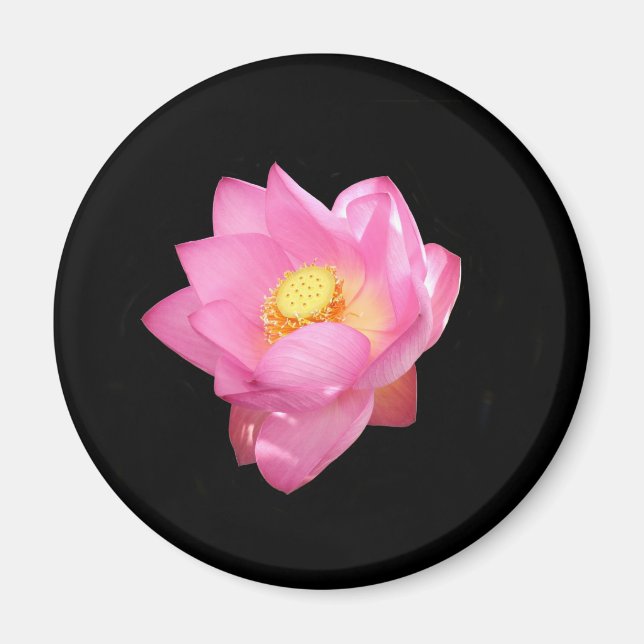 Water Lily Magnet (Vorne)