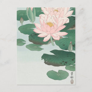 Water Lily Painting von Ohara Koson Postcard Postkarte