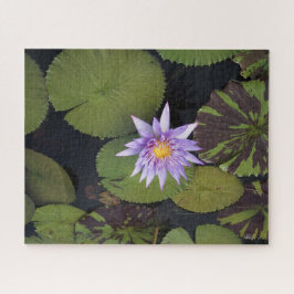Water Lily Puzzle