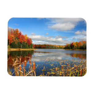 Water   Mabel Lake Canada Magnet
