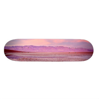 Water See Death Valley Skateboard
