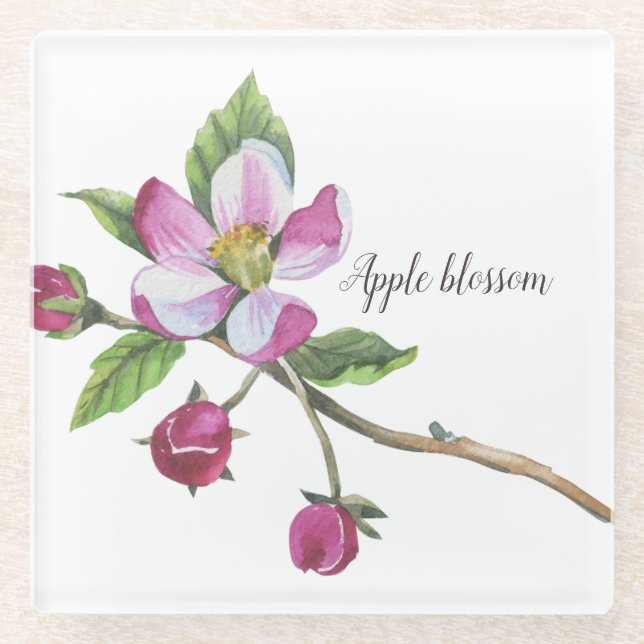 Watercolor Apple Blossom Glasuntersetzer (Vorderseite)