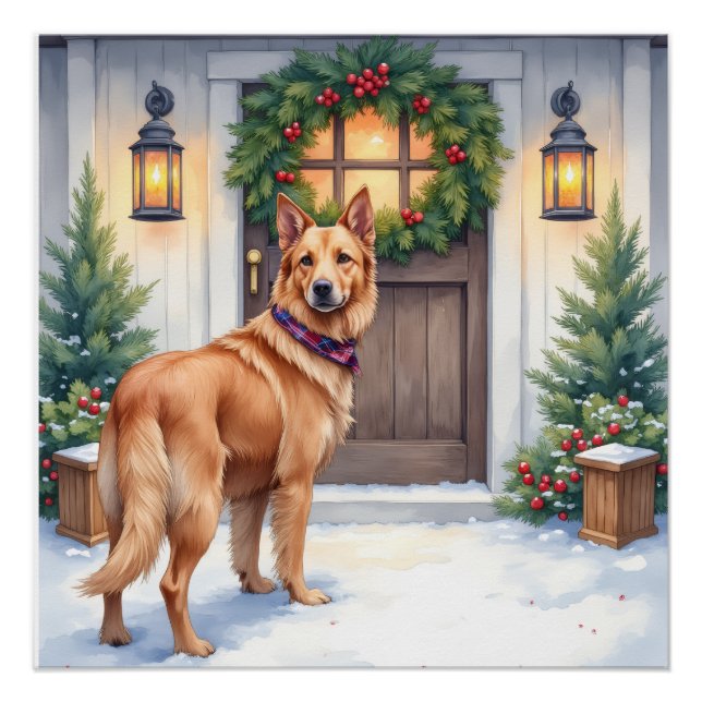 Watercolor Belgian Laekenois Farmhouse Christmas Poster (Vorderseite)