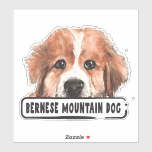 Watercolor Bernese Mountain Dog Aufkleber