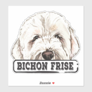 Watercolor Bichon Frise Aufkleber