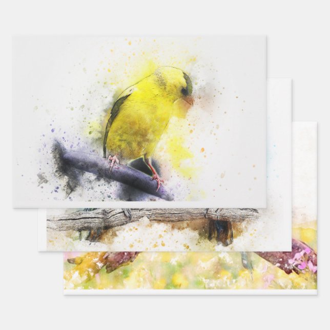Watercolor Bird 5 Decoute Kunst, Dichtung und Musi Geschenkpapier Set (Set)