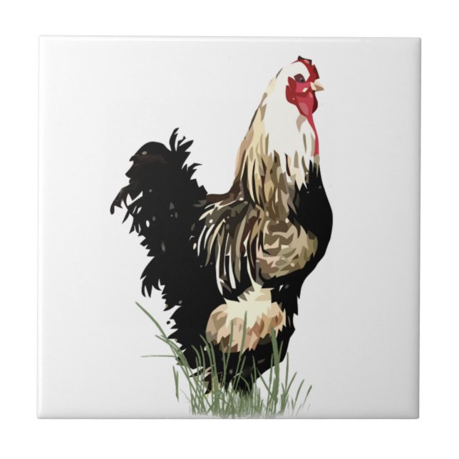 Watercolor Black & White Rooster Bird Chicken Fliese (Vorderseite)