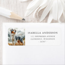 Watercolor Blue Merle Australian Shepherd