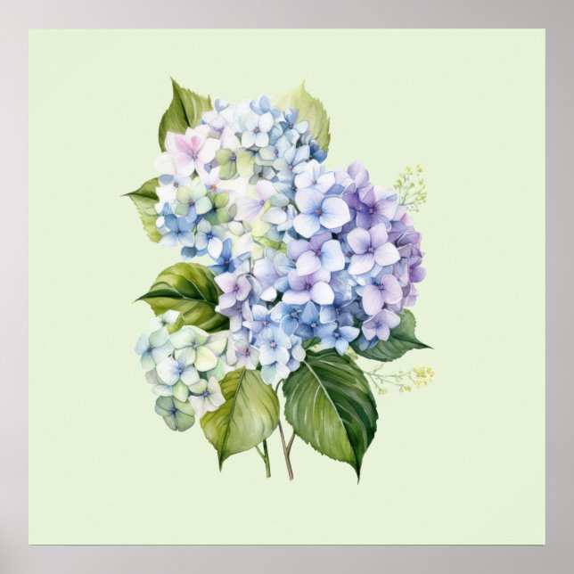 Watercolor Botanical Floral Hydrangea Poster (Vorne)