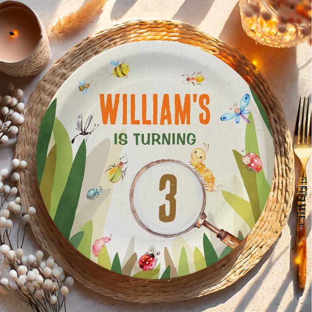 Watercolor Bug Insect Boy Birthday Pappteller (Von Creator hochgeladen)