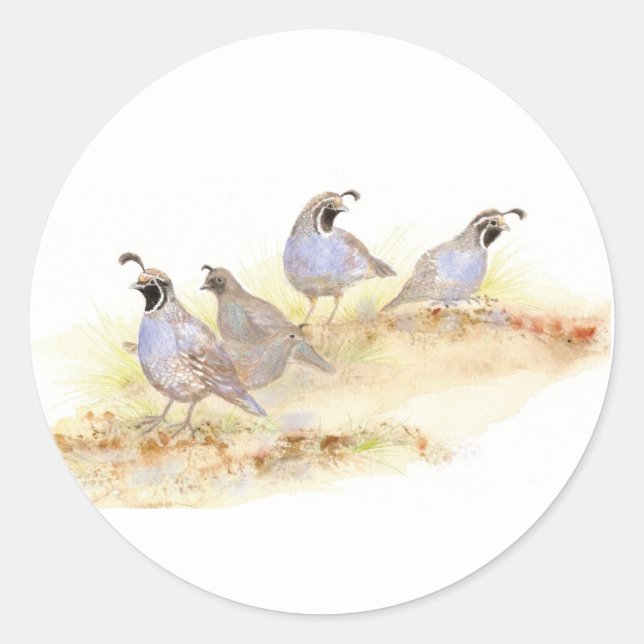  Watercolor California Quail Runder Aufkleber (Vorderseite)