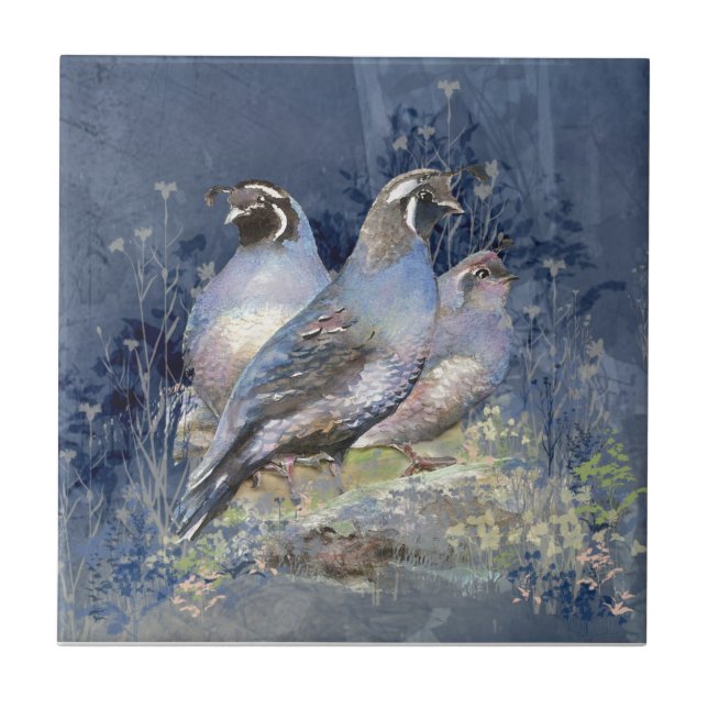 Watercolor California Quail Wildlife Bird Fliese (Vorderseite)