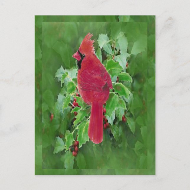 Watercolor Cardinal Bird Holly Berry Christmas Feiertagspostkarte (Vorderseite)