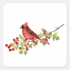 Watercolor Cardinal Bird on Berry Branch  Quadratischer Aufkleber