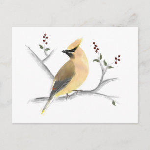 Watercolor Cedar Waxing Postcard Postkarte
