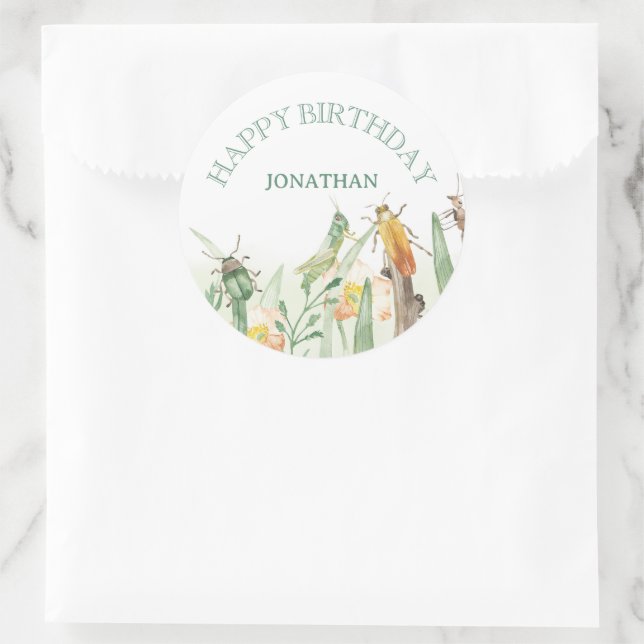 Watercolor Child's Bug Insect Birthday Runder Aufkleber (Tasche)