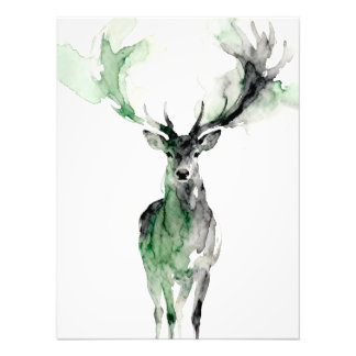 Watercolor Deer with Antlers Fotodruck
