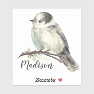 Watercolor-grauer Jay-Vogel-Natur-individueller Aufkleber