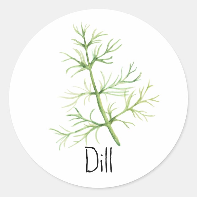 Watercolor Herb Dill Runder Aufkleber (Vorderseite)