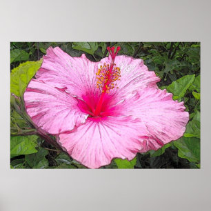Watercolor-Hibiskus-Druck Poster