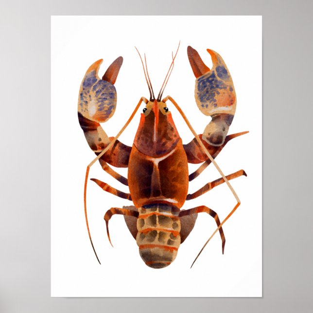 Watercolor Hummer Crustaceanca Poster (Vorne)