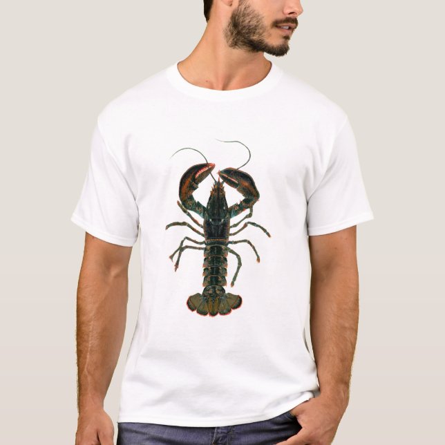 Watercolor-Hummer-T - Shirt (Vorderseite)