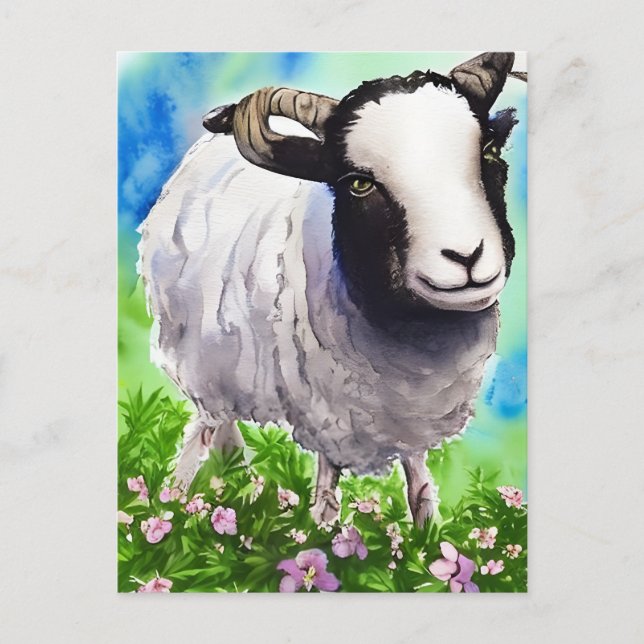 Watercolor Jacob Sheep Postkarte (Vorderseite)