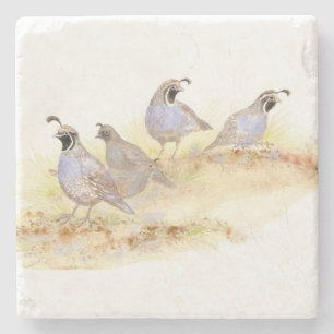 Watercolor, Kalifornien Quail Bird Kunst Steinuntersetzer