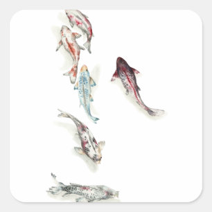 Watercolor Koi Fish Quadratischer Aufkleber