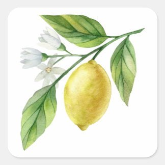 Watercolor Lemon Pattern Poster Quadratischer Aufkleber