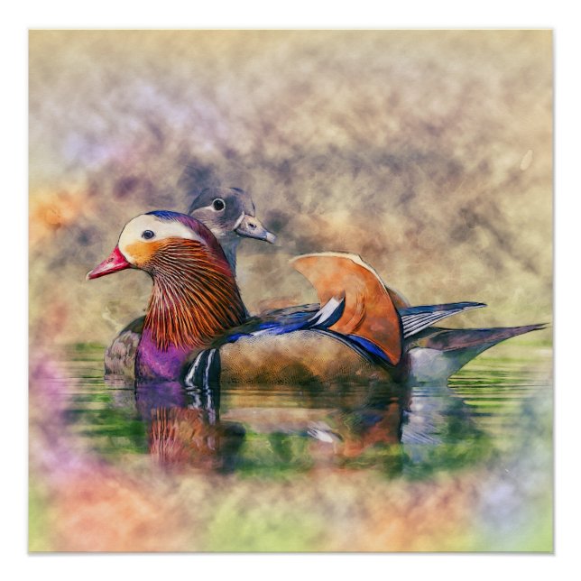 Watercolor Mandarin Ducks Feng Shui Symbol Poster (Vorderseite)