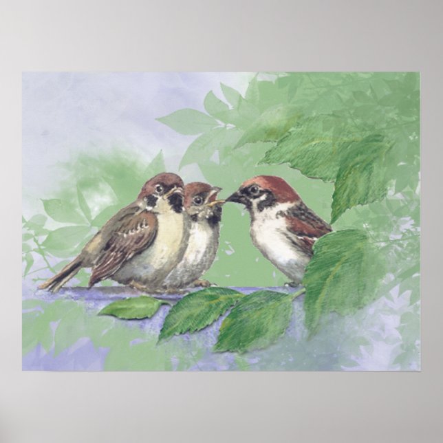 Watercolor Mother Sparrow Feeding Chicks Poster (Vorne)