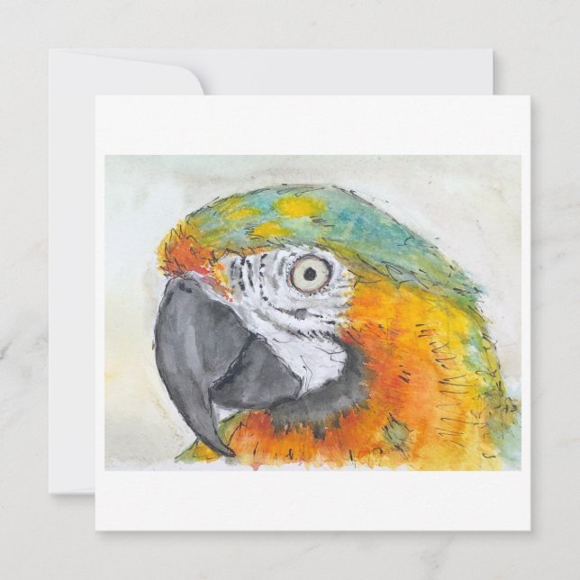Watercolor of Parrot on Flat Card (Vorderseite)
