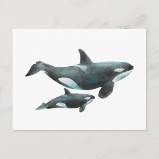 Watercolor Orca Whale Mother and Baby Poster Postkarte